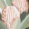 pretty proteas in pastel shades art print